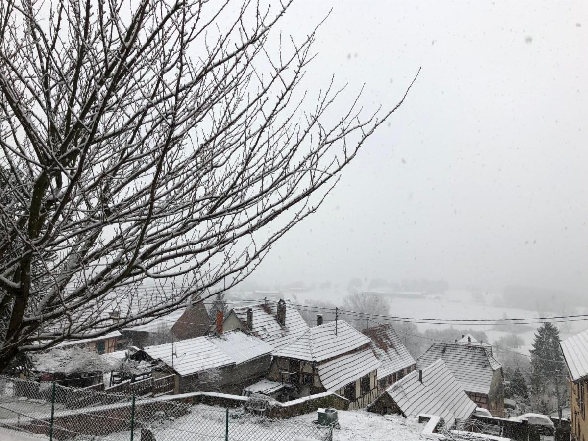 Gite L'Instant Durable Oberbronn Εξωτερικό φωτογραφία