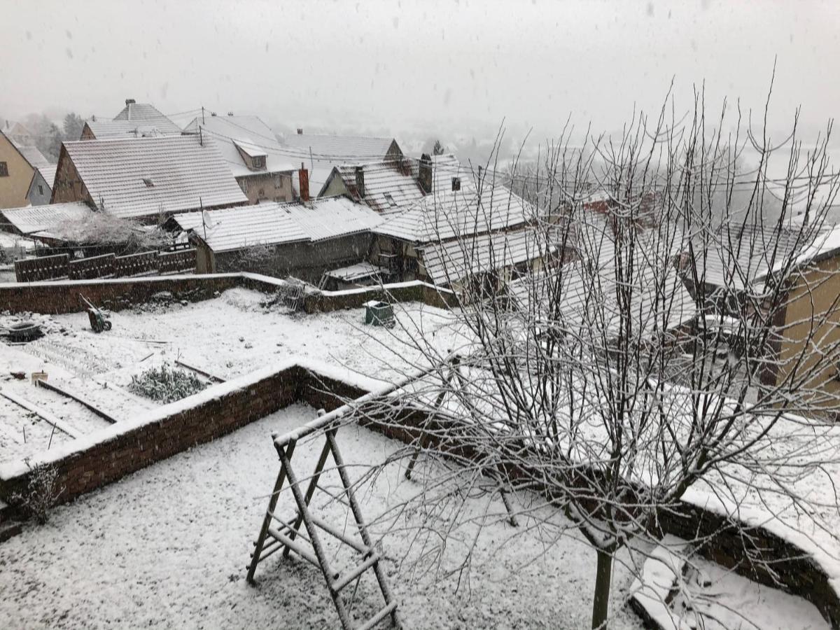 Gite L'Instant Durable Oberbronn Εξωτερικό φωτογραφία