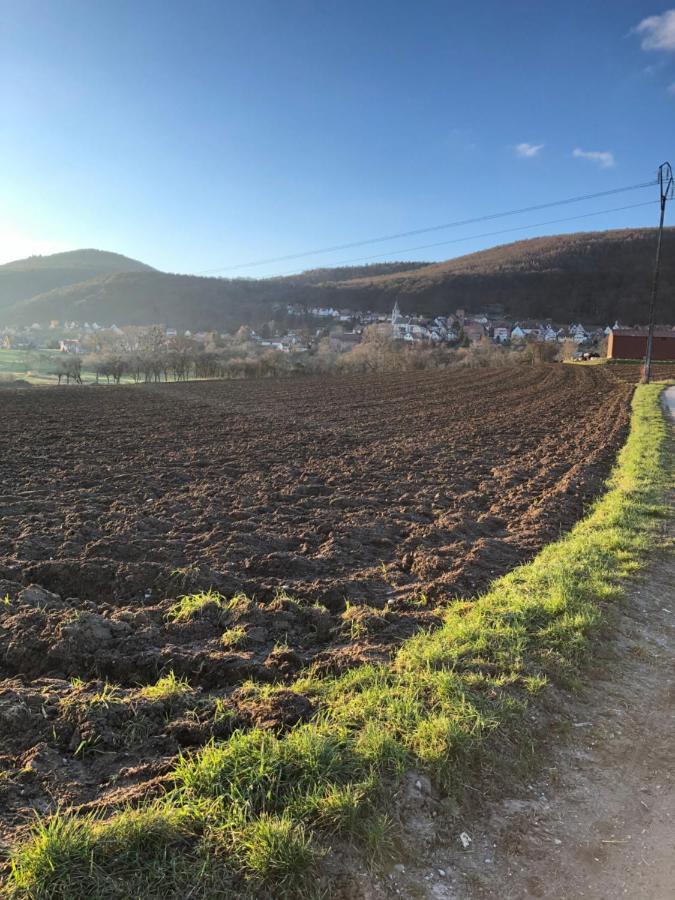 Gite L'Instant Durable Oberbronn Εξωτερικό φωτογραφία