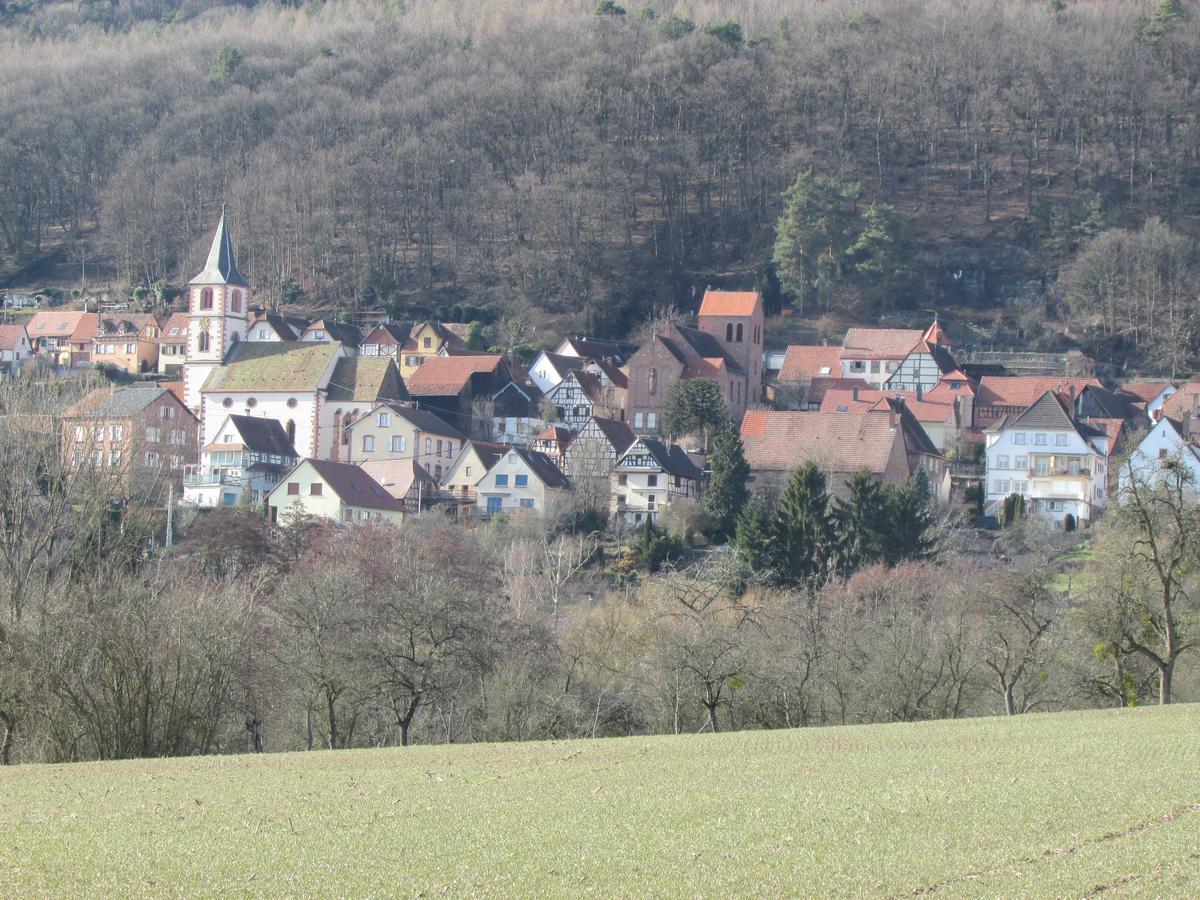 Gite L'Instant Durable Oberbronn Εξωτερικό φωτογραφία